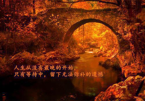 姜如谊周延章周司明黎雨瑭免费阅读最新章节 姜如谊周延章全文最新更新内容