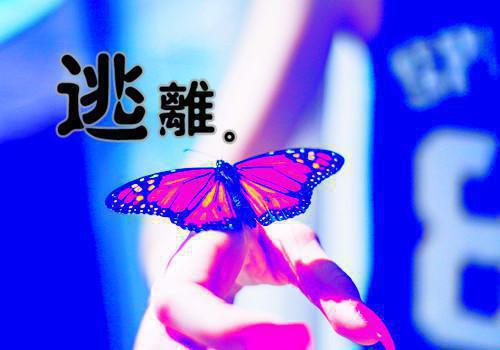 林芝许野迟林智小说免费阅读 野迟报复结局