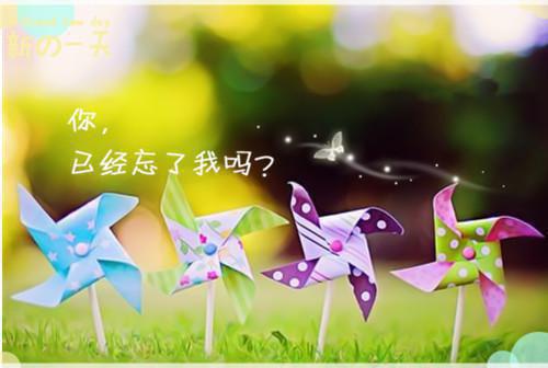 冬阳苏幻月柳安的最新章节更新时间 暖阳不煦结局