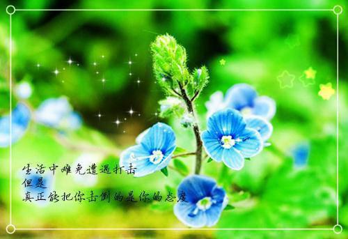 沈念顾淮小说名字 十年婚戒,两份浪漫小说正版免费阅读