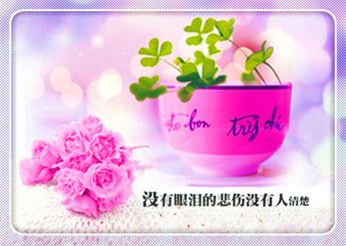 蒋羽熙陆时燃陆念蒋祁年小说笔趣阁最新章节 顾泽清陆时燃byABC