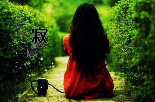 何雯沈绍最新章节更新 被未婚夫抛弃后,他悔疯了结局