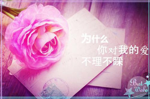 许尘沈明轩赵幼温最新章节更新状态 别找替身了白月光她回国了全文阅读