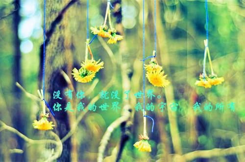 夏夏简瑶沈清让的最新章节小说 先别抑郁!我马上回家救赎你笔趣阁