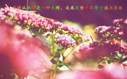 囡囡江嘉悦小说在线阅读 车祸后，三岁崽崽发现妈妈恨我入骨小说正版阅读