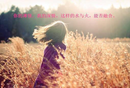 顾瑾衍乔清鸢小说免费阅读 她引暖阳动心顾瑾衍乔清鸢全文