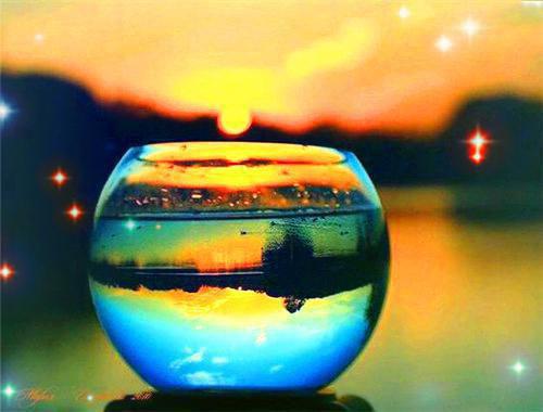 假死后太子为我废后宫最新章节列表_假死后太子为我废后宫全文免费阅读(李承秋云张大)