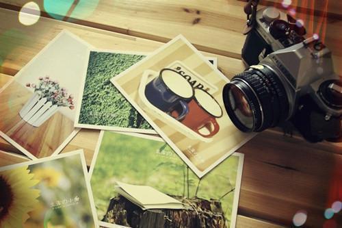 许心音谢峭最新章节列表 寻秋音小说正版阅读