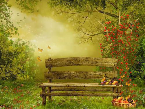 姜闻曦时阔宁小可叫什么小说 协议婚姻倒计时,他急着去见心上人电子书