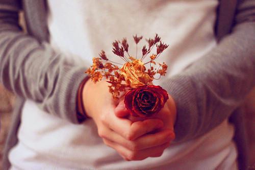 快穿海王恶女随便钓钓，鱼塘通万界最新小说（南浔姜肆）全文阅读