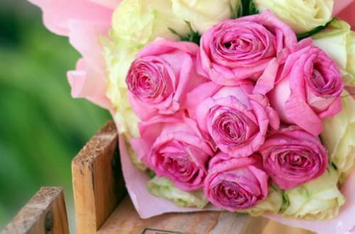 沈烟柔秦泽司芸儿的最新章节小说 我改嫁他人后，三皇子后悔哭了笔趣阁最新章节