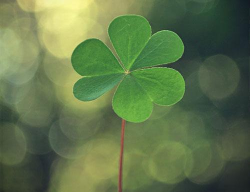 昌昌妈妈杨小小最新章节更新状态 重生后我笑看老师将研学地点改到山体滑坡河谷未删减小说