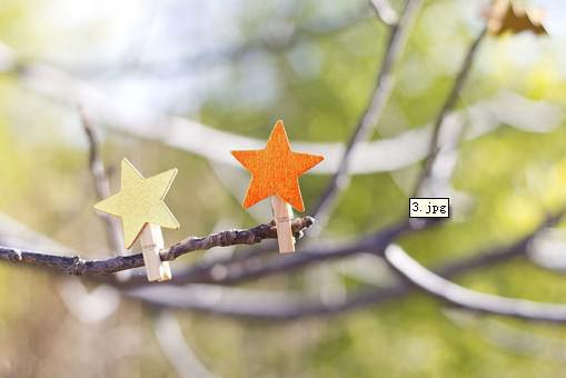 傅云州黎梦霜苏苏笔趣阁 眸中星河已散全文阅读