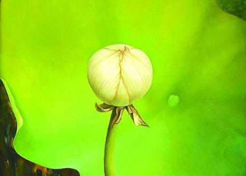 宋一诺沈慕言姜瑶小说结局 唯留星光刺骨寒：后续小说正版阅读