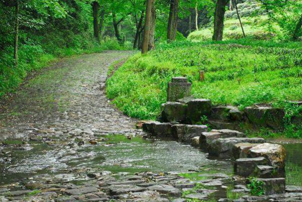 沈佳佳结局 妈妈偷拿我三万压岁钱买了金镯子知乎小说