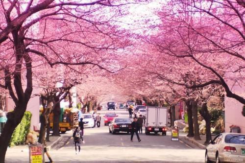 陆辞江梦颖最新章节更新状态 江梦颖陆辞未删减小说