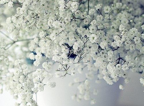 梅梅大志最新章节内容 豆包是干粮梅梅大志全文