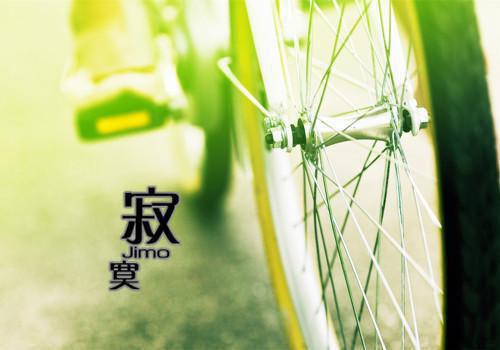 陈若善大结局后续 我靠众筹登基未删减小说