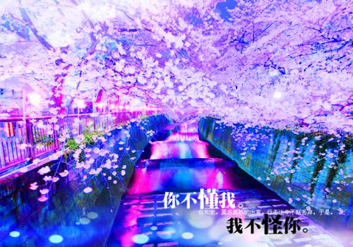 叶屿薇裴景宴小说免费阅读最新章节 蔷薇淹没来时路男主叶屿薇裴景宴小说