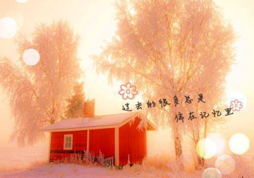 李茉白周忍周让周礼是哪部小说 攻略失败后，三个儿子把我的狗炖给白月光知乎李茉白周忍周让周礼