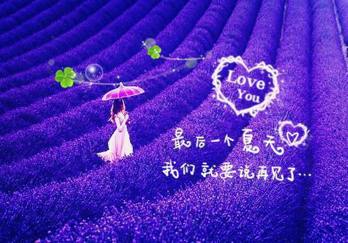 周淮季杨小说名 不甜怀阳在线阅读