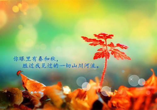 (番外)+(全文)梁明昭谢临风畅销巨著免费下载阅读_(梁明昭谢临风)梁明昭谢临风畅销巨著最新章节列表_笔趣阁（梁明昭谢临风）