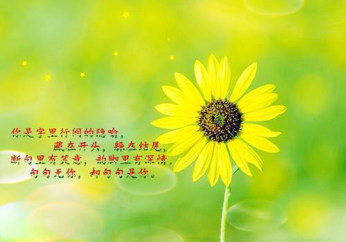 林莺闻宋千际的最新章节小说 青梅竹马终成空，你我再无前缘续知乎小说