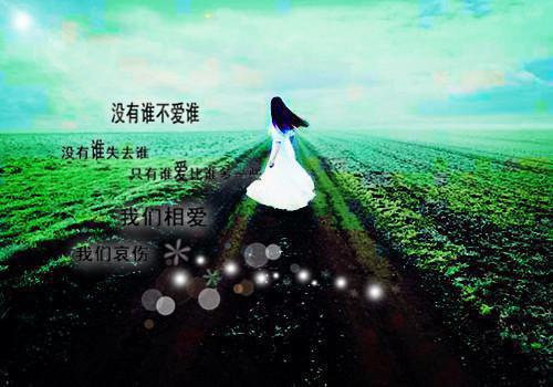 命定Alpha小说在线阅读小说全集在线_命定Alpha起点章节+后续（苏沅沈郁）