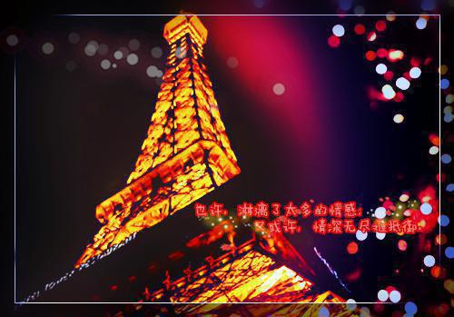 抛我救白月光，再嫁时前夫跪红眼全文小说乔愿司栩小说在线阅读