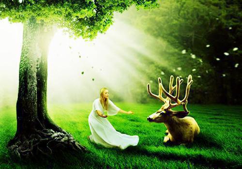 季枳念程侑远的最新章节更新时间 祭我一场白昼飞雪免费阅读