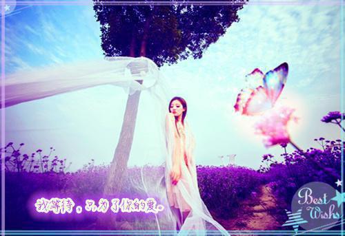 唐宣沈落阳许云月免费阅读 转身离开后，他双手奉上一切小说唐宣沈落阳许云月免费阅读全文