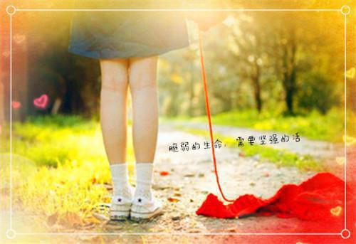 蒋明珠蒋明慈的最新章节小说 我天生反骨，听不懂人话蒋明珠蒋明慈全文