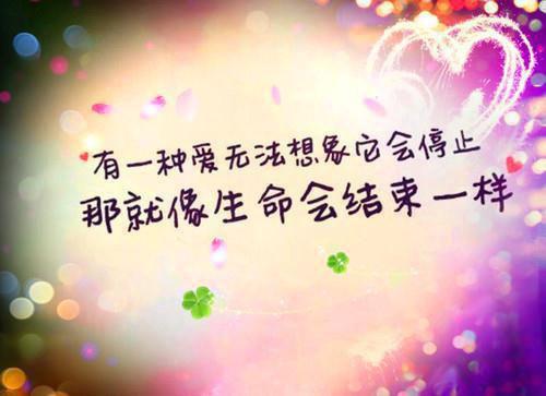 庄之贤冯千叶叫什么小说 千叶知乎小说