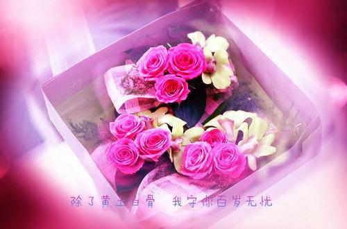 苏若音沈言豫苏以晗的最新章节更新时间 思念却零落成泥小说免费阅读全文最新章节