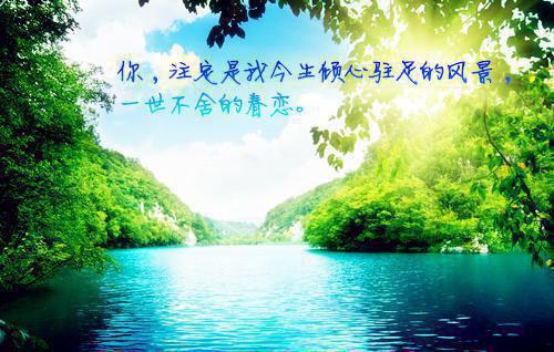 夏晨赵梅夏大树最新章节更新时间 妈妈总爱跟我说爸爸坏话，我不爱爸爸后妈妈却说我是白眼狼免费阅读夏晨赵梅夏大树小说