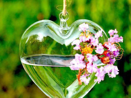 江先生，你要听话倾心编著（许清欢江砚舟）全文免费_（许清欢江砚舟）江先生，你要听话倾心编著后续阅读（许清欢江砚舟）