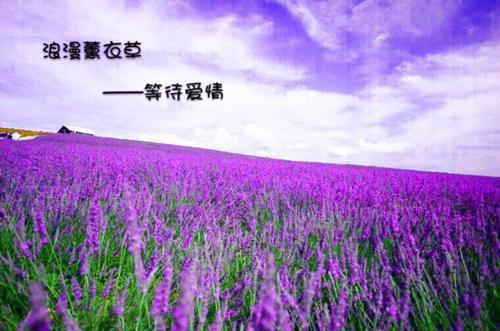 季杉阮封岸笔趣阁免费阅读 年下男友有女朋友了,那我算什么最新章节免费阅读