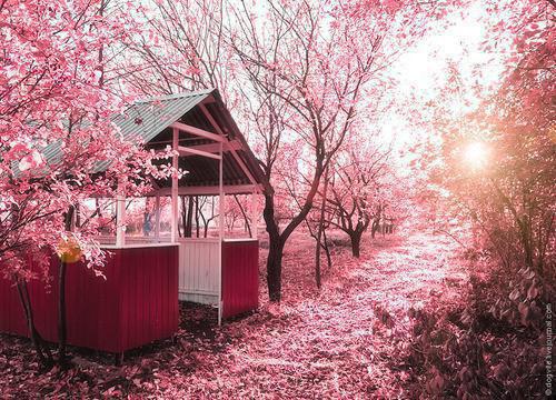 沈心柚小说结局 十二月的离别笔趣阁最新章节列表