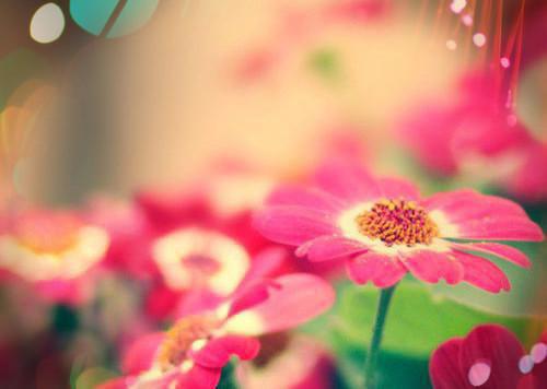 菜啊啊的小说男友刷我卡包养学妹，我送学妹百万年薪林骁白薇薇全文在线阅读