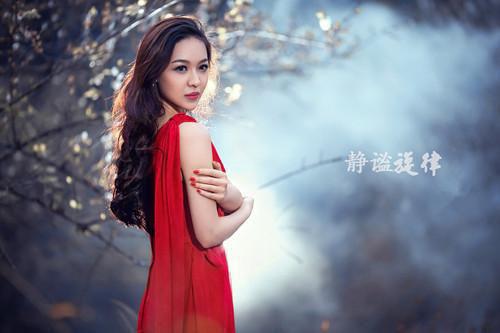 首席鉴珍师全文小说沈清玥沈雨柔陆辰宇小说在线阅读