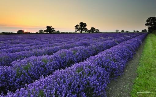 重生***她又要拐走我最新章节列表_重生***她又要拐走我全文免费阅读(星星姐姐)