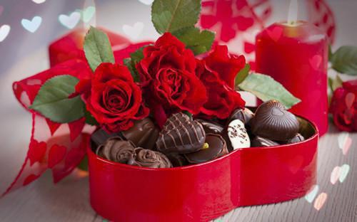 谢尽长安花好文分享(沈照霜宁砚)小说最新章节阅读_谢尽长安花好文分享沈照霜宁砚_全本小说免费阅读