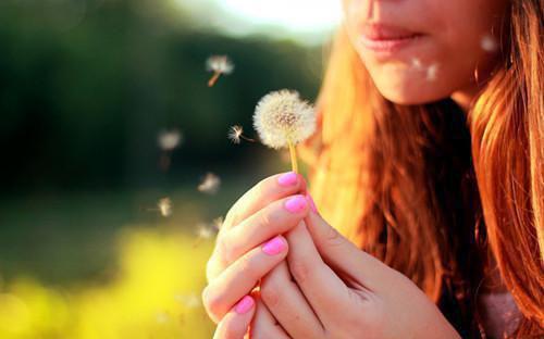 全本错负流年不回望：+后续+结局（孟知珩叶书宁）最新章节列表_全本错负流年不回望：+后续+结局（孟知珩叶书宁）全文在线阅读下载