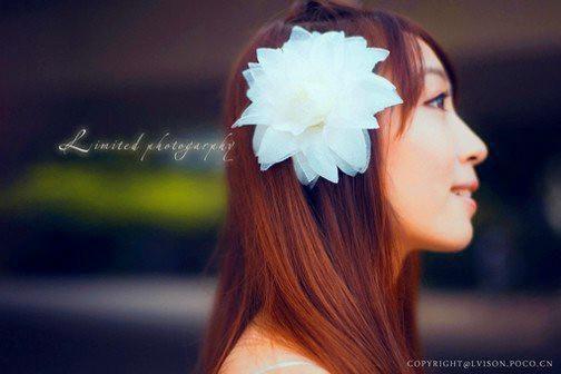 林娟沈智文苏晓兰的最新章节更新时间 雪映炉心电子书