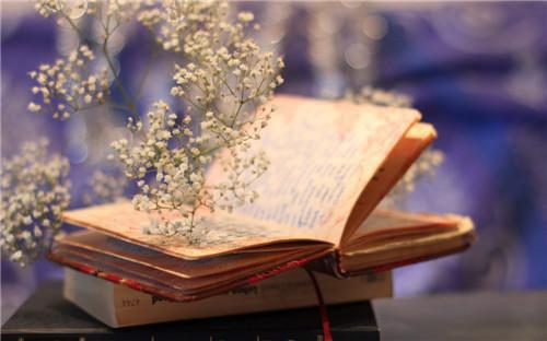 我宋瑶李耀辰思思小说名字 老婆砸女儿存钱罐给竹马买手表，我杀疯了小说