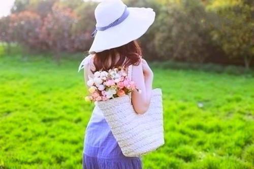 柳西棠盛淮序的小说叫什么 掌中玫瑰偏折刺小说最新章节列表