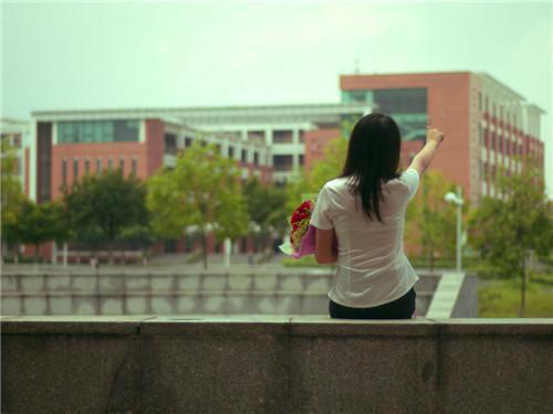 沈清欢席砚南沈皎皎最新章节更新 爱如浓雾散尽时：后续免费阅读沈清欢席砚南沈皎皎小说