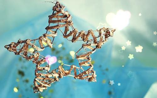 太皇太后她来了，不肖子孙颤抖吧（元曦）全文免费阅读无弹窗大结局_（元曦）最新章节列表_笔趣阁（太皇太后她来了，不肖子孙颤抖吧）