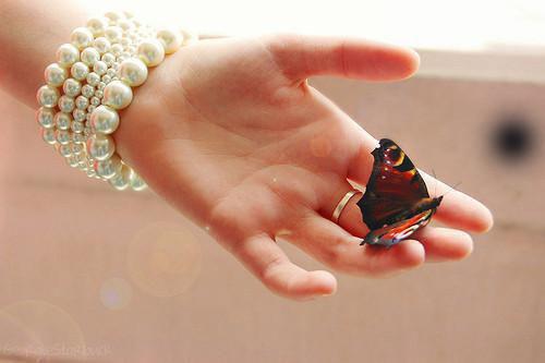 江停年洛薰江缊川的最新章节小说 经年顶替：后续笔趣阁最新章节列表