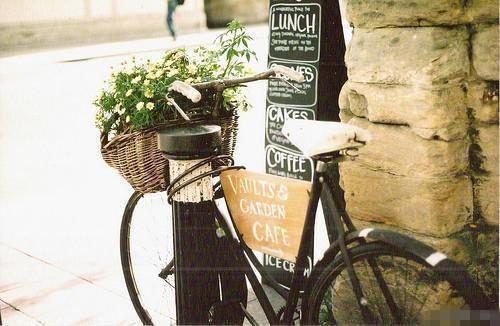 赵晴柔房玄策的最新章节更新时间 赵晴柔房玄策：后续最新章节更新